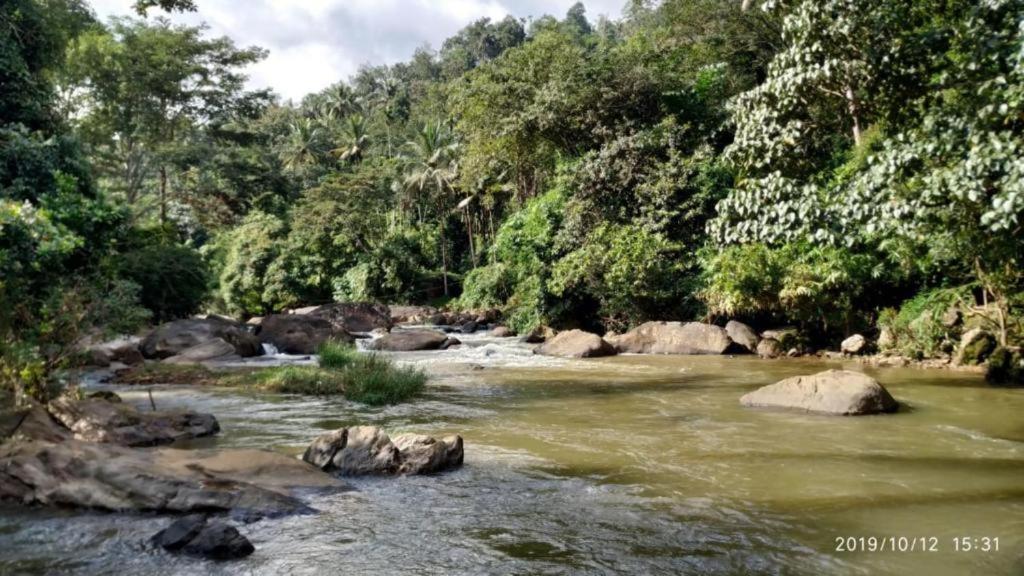 Linn View Home Stay Munnar Ngoại thất bức ảnh