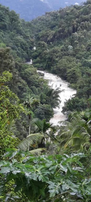Linn View Home Stay Munnar Ngoại thất bức ảnh